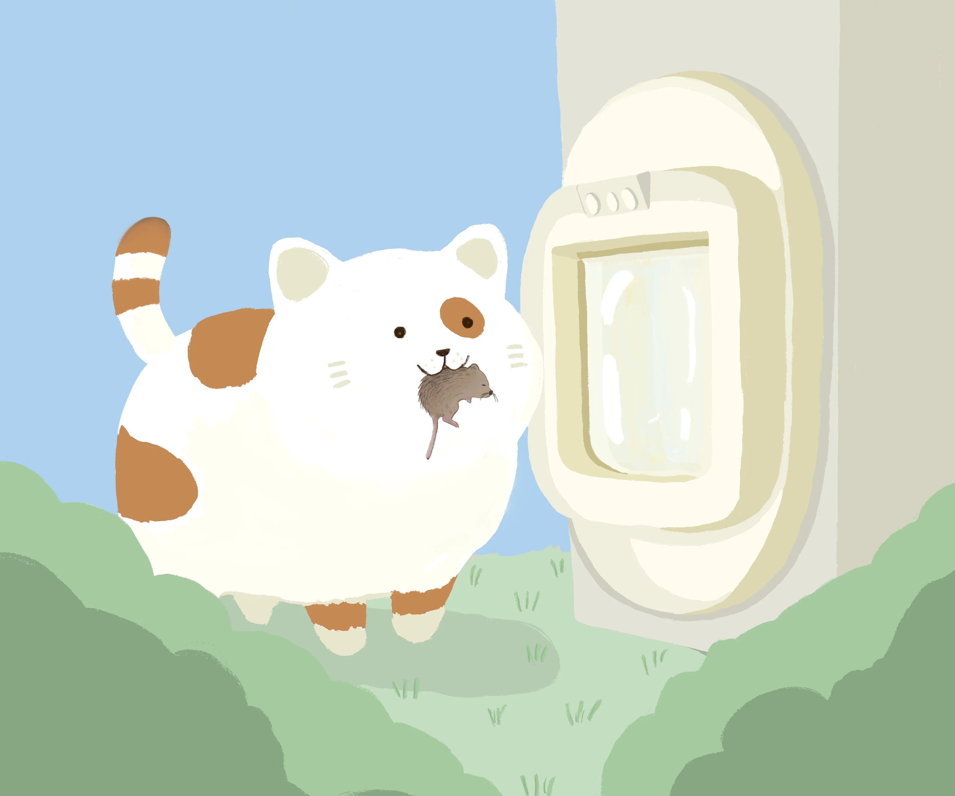 MyCatsHome 人工智能猫门